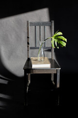 interior and home decor concept - monstera leaf in glass vase and book on vintage chair on black...