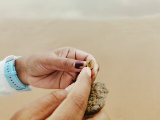 hand holding a snail