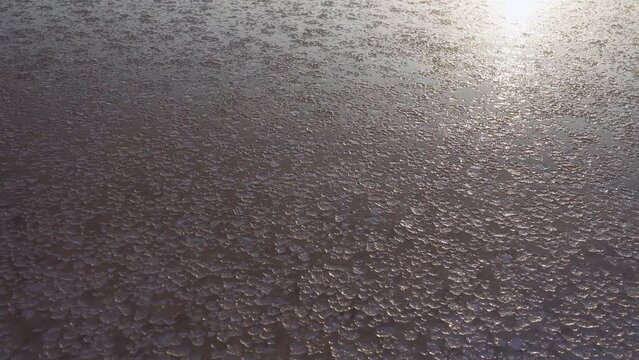 Evening coolness and as if the formation of ice. But it's not ice. A crust of salt forms in calm weather on the surface of the hypersaline lake, as if it freezes (grease salt)