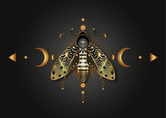 The death's head moth on Sacred Geometry. Night mystical butterfly with a skull and Moon Phases. Gold luxury vector illustration of celestial Acherontia winged insect isolated on black background  - obrazy, fototapety, plakaty
