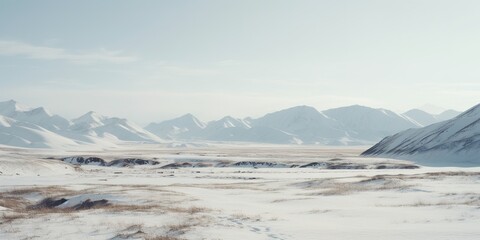 Fototapeta premium Generative AI, Winter aesthetic landscape panorama, muted neutral colors, forest and mountains. 