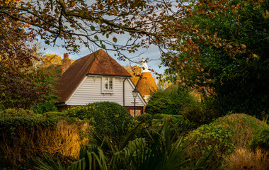 Autumn (fall) scene in England with a tree and bushes in the foreground and houses behind.