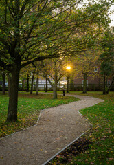 Autumn (fall) scene in England with a footpath leading through a park with trees. The setting sun is visible through the leaves.