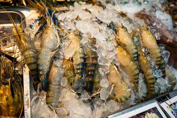Fresh raw prawn, premium grade, on display at seafood market in Bangkok Thailand. Giant shrimp seafood