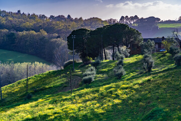 Die Landschaft des Val d'Orcia (Orciatal) liegt im südlichen Teil der Provinz Siena in der...