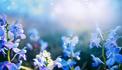 Gordijnen Orchid flower in field with blur background © Mangata Imagine