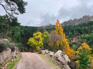 Fall in Sierra Guadarrama , Madrid