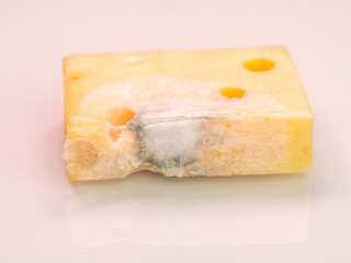 yellow cheese with mold, fungus on the cheese due to moisture, dangerous to health