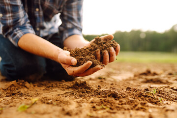 Farmer's hands take the soil from the field and check its quality. Experienced male hands hold the...