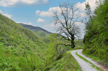 Montenegro. Durmitor National Park. Saddle Pass. Alpine meadows. Mountain landscape. Popular tourist spot