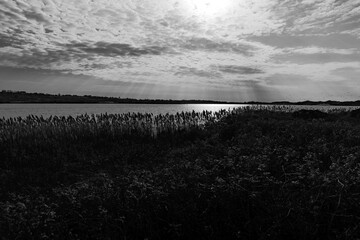 Harbor with radiant sun rays breaking through the clouds and tall grasses