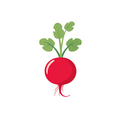 Simplified flat art illustration of a radish