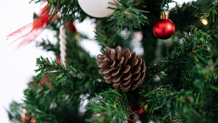 Christmas tree branches decorated with a Xmas pine cone.