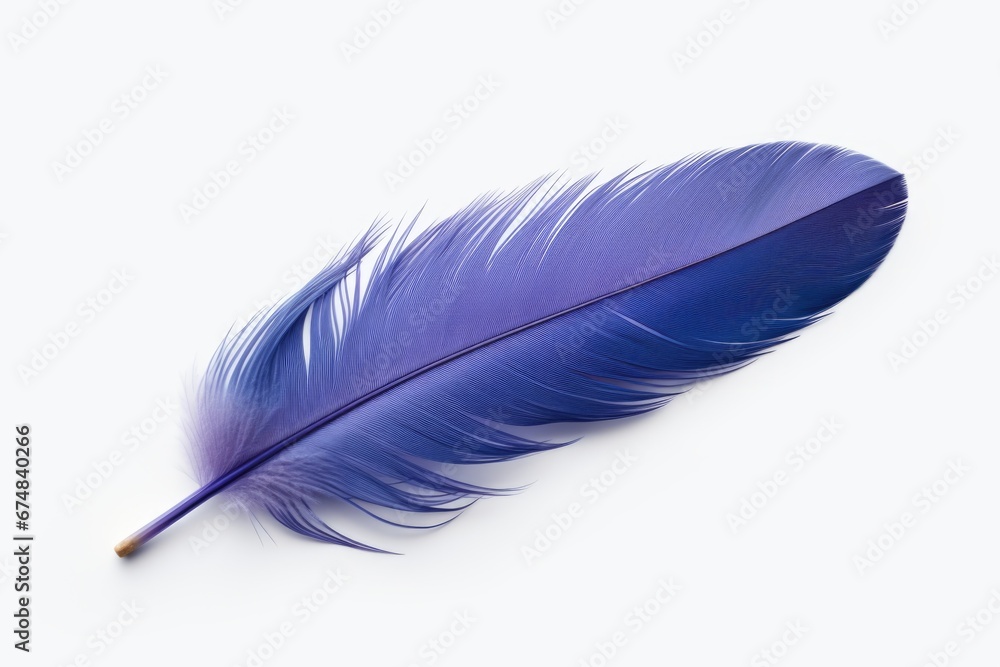 Poster A beautiful blue feather placed delicately on a clean white background. Perfect for adding a touch of elegance to any design or project.