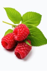 Three ripe raspberries with leaves on a clean white background. Ideal for use in food and beverage advertisements or as a decorative element in recipe books