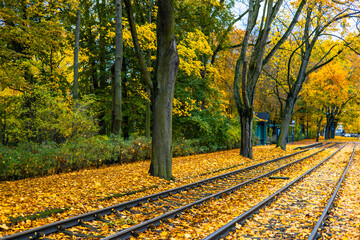 Yellow Leaves On An Autumn Street. Train Rails are Covered with Yellow Leaves. Poland, Poznan, Solacz