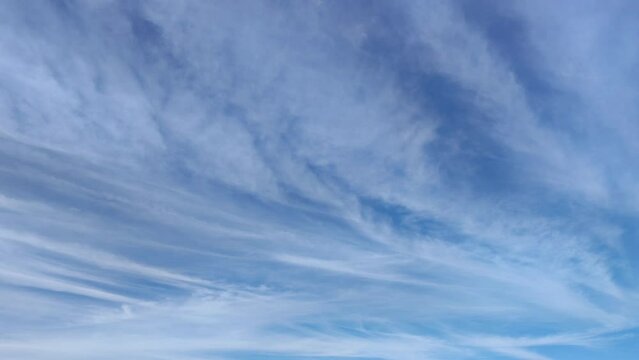 Sky full of interesting cirrus clouds