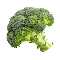Broccoli Floret on Transparent Background