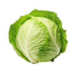 Obraz premium Fresh Cabbage, Isolated