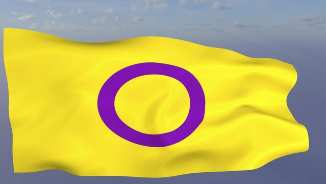 Loop der Pride Intersex Fahne wehend im Wind als Nahaufnahme 4K	