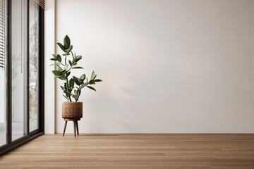 Modern white minimalist interior blank wall, plant