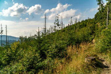 On the tourist trail.