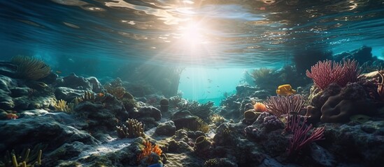 Deep ocean full of life. Underwater coral reef with fish and rays of sun through water surface - obrazy, fototapety, plakaty