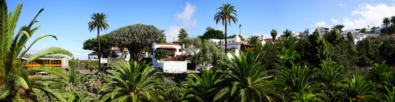 Parque del Drago panoramic view, Icod de los Vinos, Tenerife, Spain