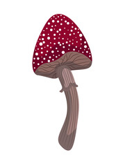 Cartoon fly agaric mushroom with white dots on a long stem with a skirt.