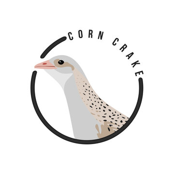 Round shaped Corncrake bird logo design. Corncrake bird head flat vector illustration isolated on white background. Design for logo, sign or symbol. Illustration of an animal in cartoon style. Vector