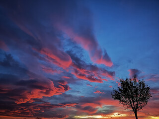 Himmel Farbspiel mit feurigen Busch