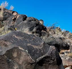 Petroglyphs at Piedras Marcadas Canyon, Albuquerque, NM