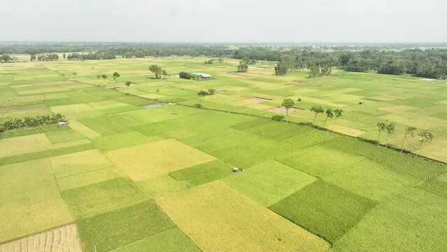 Aerial footage of scenic green landscape with agriculture field. 4k