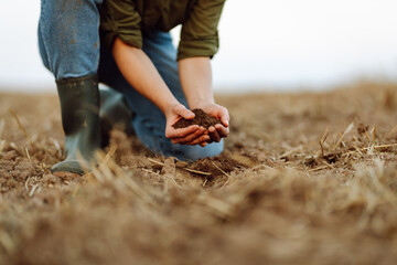 A young woman farmer holds black soil in her hand on an agricultural field. Close-up of hands with soil, quality check. Fertility concept, scaling.