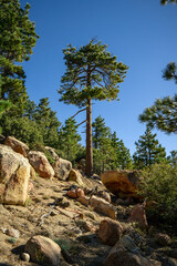 Beautiful trails in the Santa Rosa mountains near Toro Peak in Southern California.