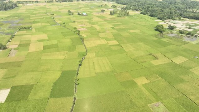 Aerial top footage of scenic green landscape with agriculture field. 4k