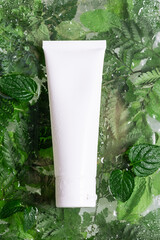 White unbranded cosmetic tube on abstract background with fresh green leaves and waterdrops. Natural organic cosmetic concept.