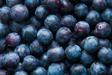 many ripe plums close up.

