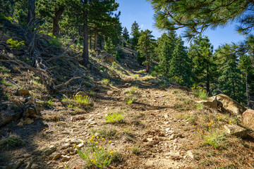 Beautiful trails in the Santa Rosa mountains near Toro Peak in Southern California.