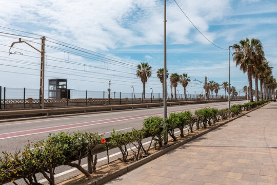 Road with palms and power lines in Vilassar de Mar