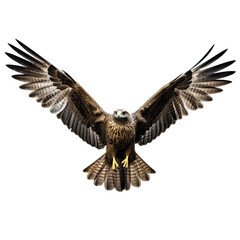 Flying Raptor, Black Kite in Flight on Transparent Background