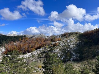 landscape in the mountains