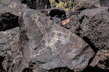 Petroglyphs at Piedras Marcadas Canyon, Albuquerque, NM
