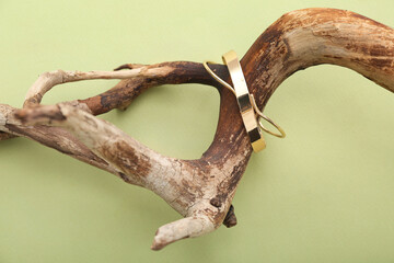 Tree branches with golden bracelet on green background