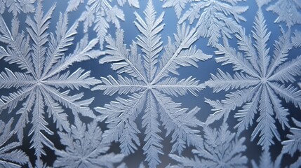 Delicate patterns of frost on glass