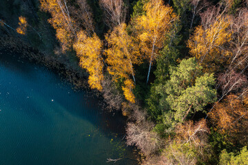 Aerial view on bank lake in the autumn sunny morning. Mixed woods on bank of lake. Transparent water in the lake and the bottom is visible. The trees on the bottom of lake.