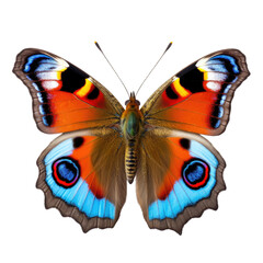 Peacock Butterfly on Transparent Background