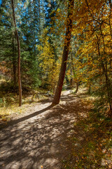 Jemez East River Slot Canyon Trail, New Mexico