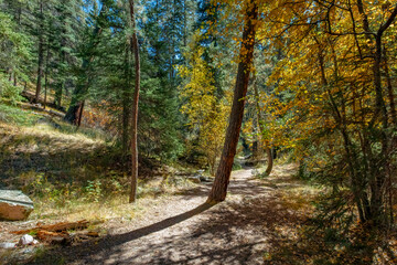 Jemez East River Slot Canyon Trail, New Mexico