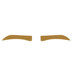 Brown Eyebrow 